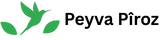 peyva-piroz.com